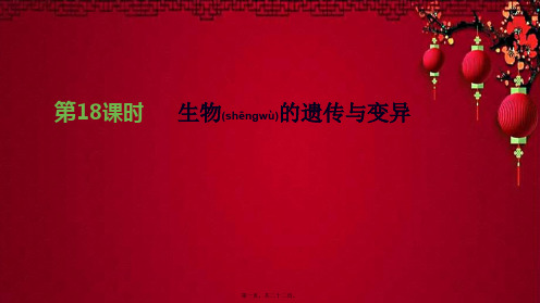 中考生物复习 第六单元 生命的延续与进化 第18课时 生物的遗传与变异生物课件