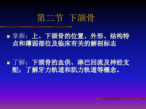 医学教学课件：下颌骨
