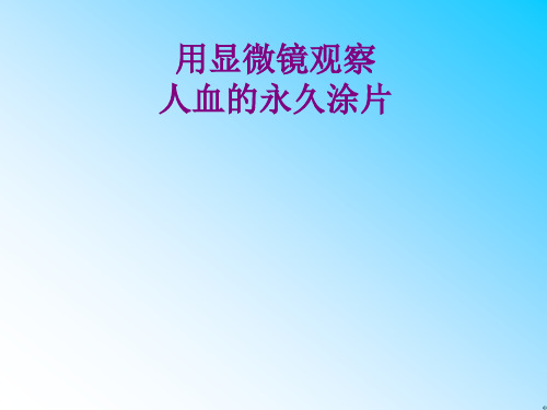 10用显微镜观察人血的永久涂片