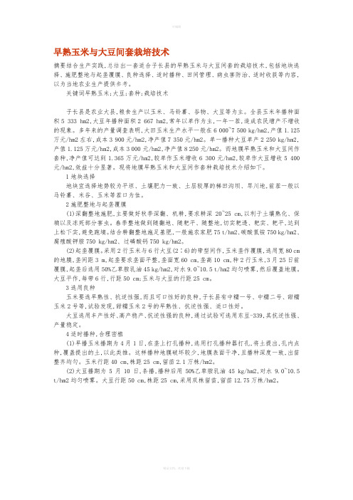 玉米-大豆套种技术