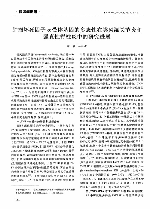 肿瘤坏死因子α受体基因的多态性在类风湿关节炎和强直性脊柱炎中的研究进展