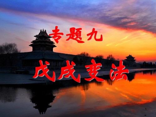高二改革史戊戌变法课件