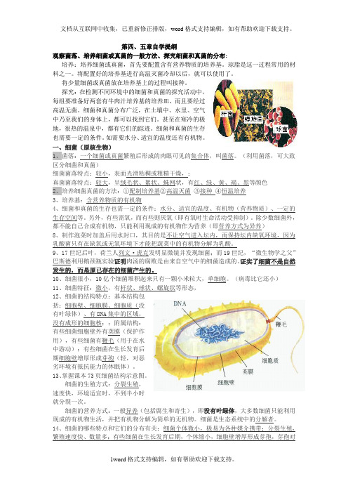 八年级生物上册细菌真菌病毒自学提纲