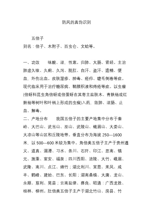 防风的真伪识别