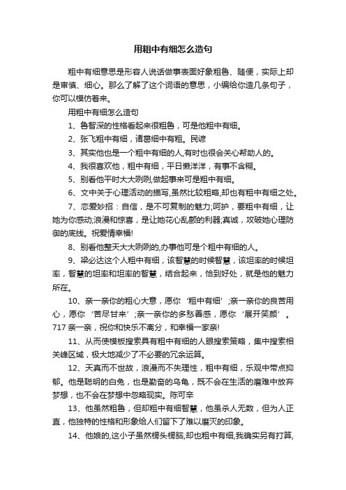 用粗中有细怎么造句