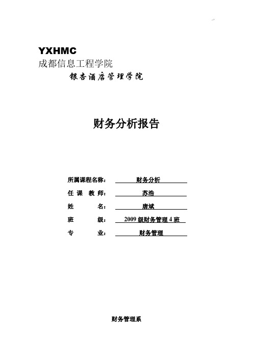 国美电器财务分析结果汇报