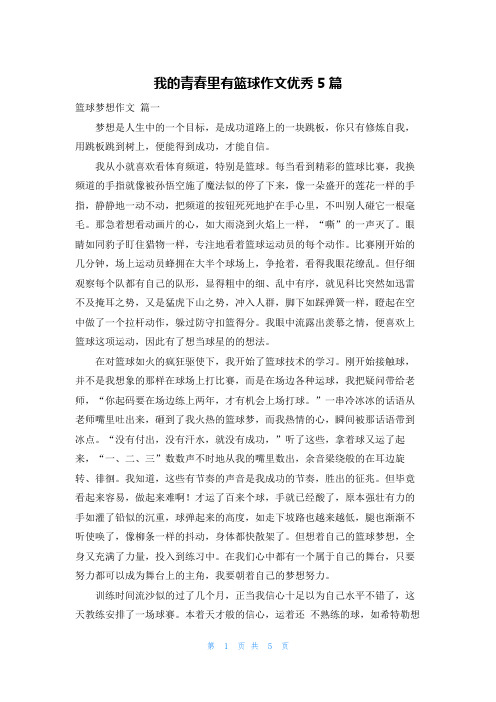 我的青春里有篮球作文优秀5篇
