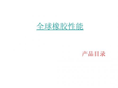 莱茵产品介绍(中文)