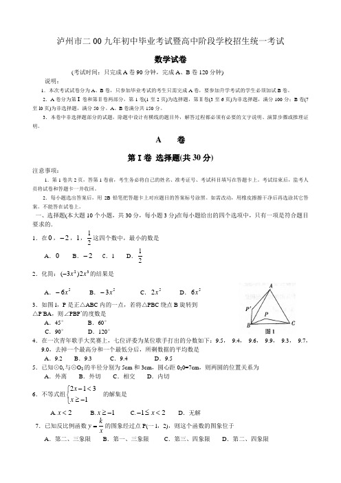 2009年四川省泸州市中考数学试题及答案word版