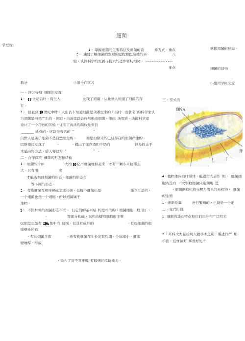 八年级生物上册542细菌导学案无答案新版新人教版