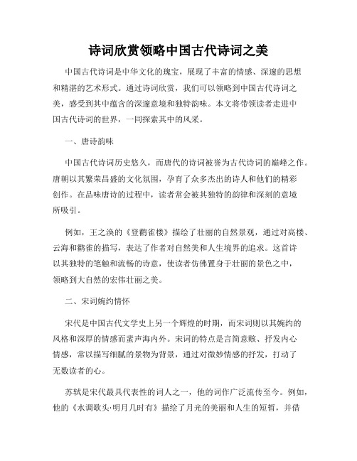 诗词欣赏领略中国古代诗词之美
