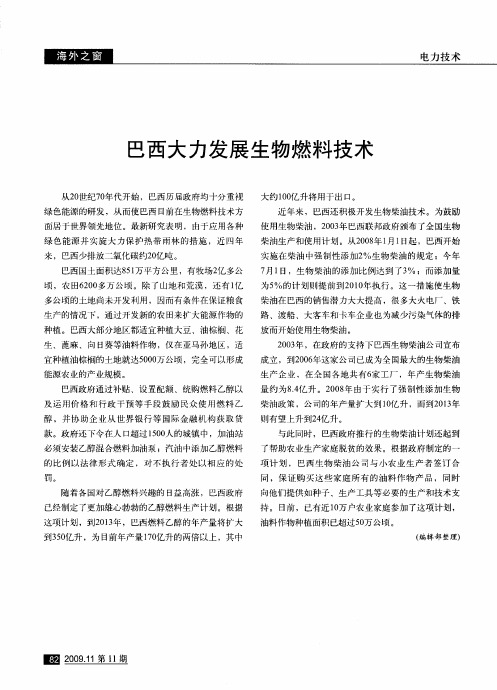 巴西大力发展生物燃料技术