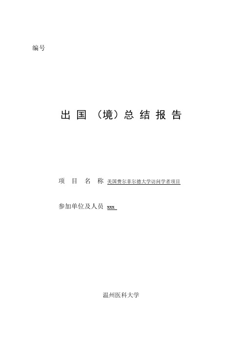 回国总结表