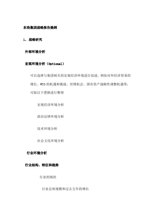 东浩集团战略报告提纲