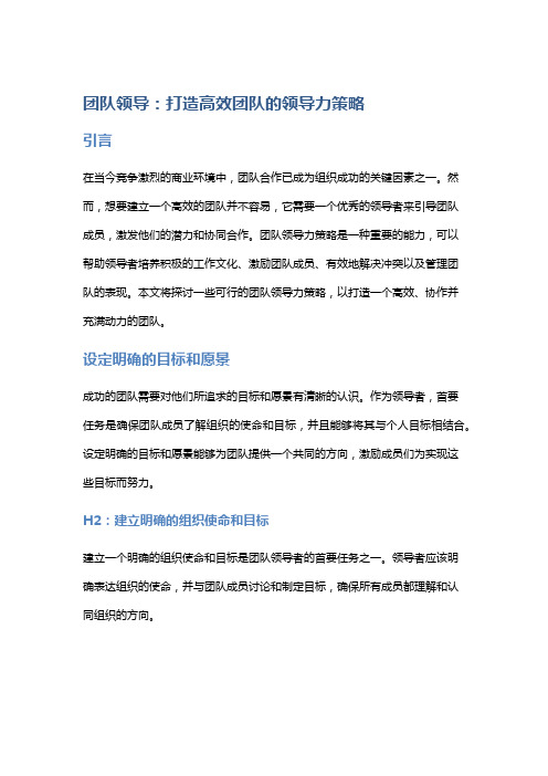 团队领导：打造高效团队的领导力策略