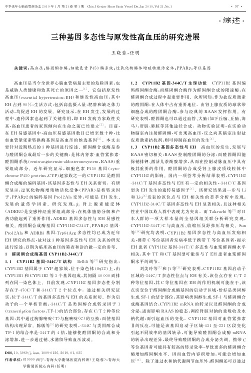 三种基因多态性与原发性高血压的研究进展
