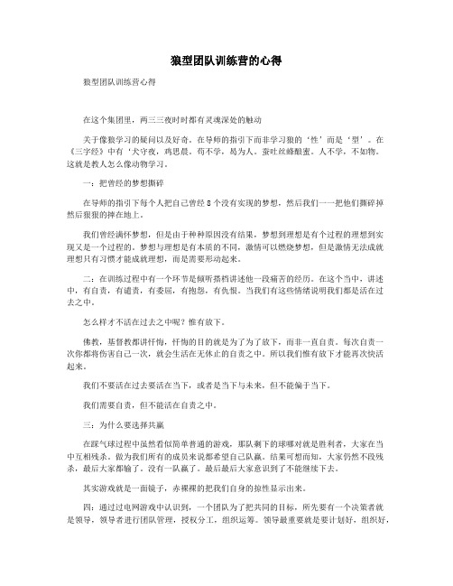 狼型团队训练营的心得