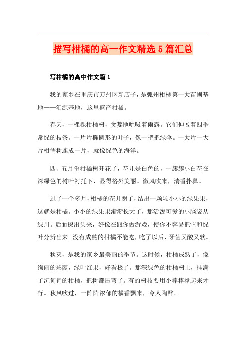 描写柑橘的高一作文精选5篇汇总