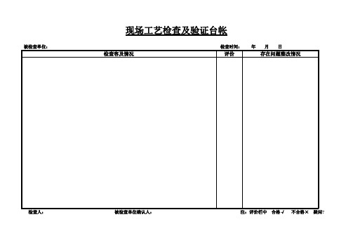 现场检查记录表