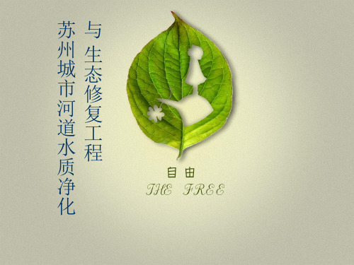 碳素纤维生态草的应用实例-苏州城市河道