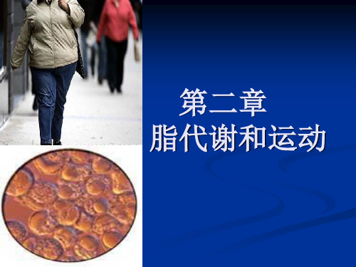 脂代谢与运动