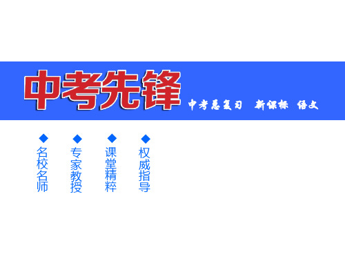 中考语文(人教版)总复习配套课件：第四部分 作文指导与训练44