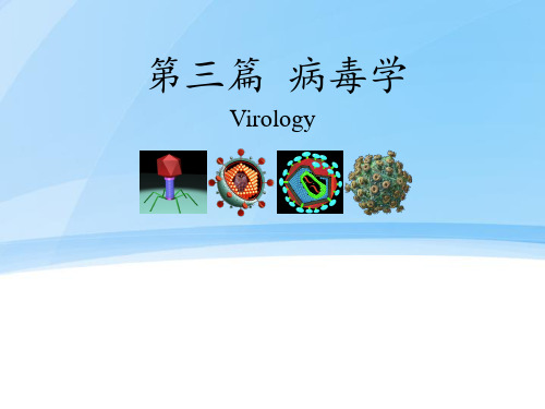 病毒学总论