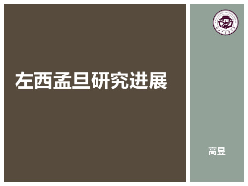 左西孟旦研究进展
