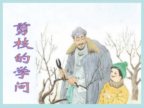 26《剪枝的学问》PPT课件