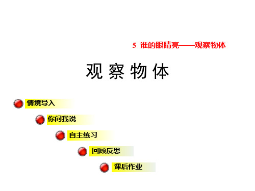 二年级下数学课件观察物体｜青岛版(秋) (共11张PPT)