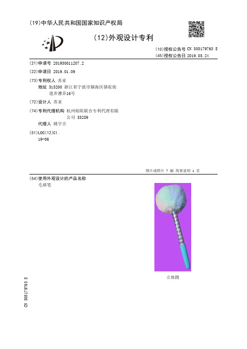 【CN305179763S】毛球笔【专利】