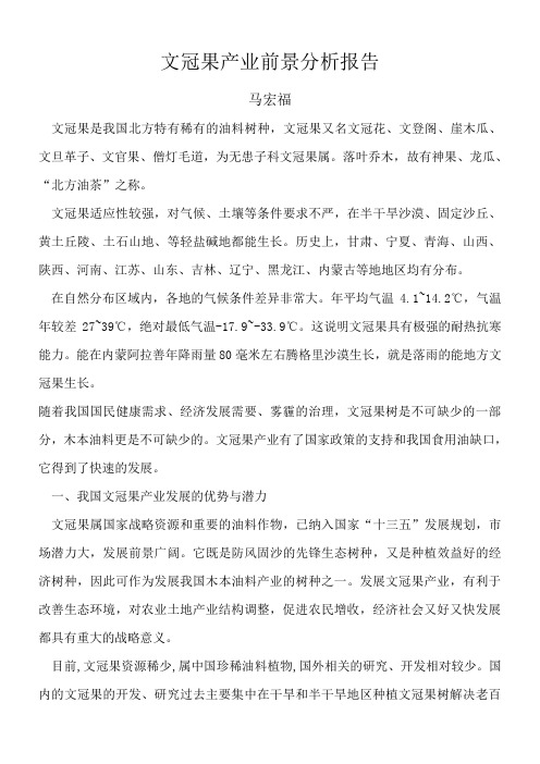 文冠果产业前景分析报告