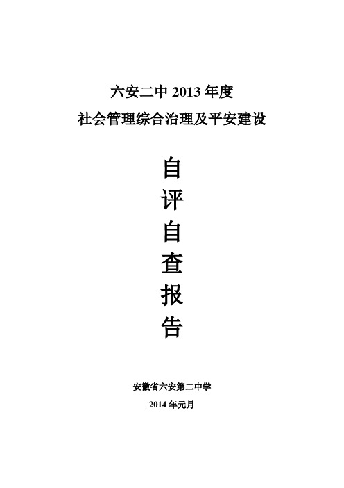 2013综治及平安建设自查自评报告