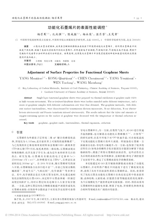 功能化石墨烯片的表面性能调控_杨芒果