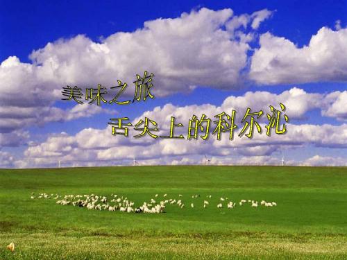 舌尖上的科尔沁