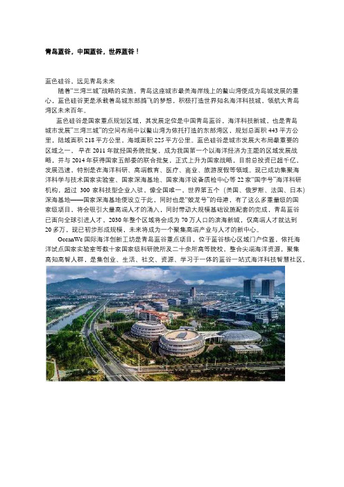 青岛蓝谷,中国蓝谷,世界蓝谷!远见青岛未来!