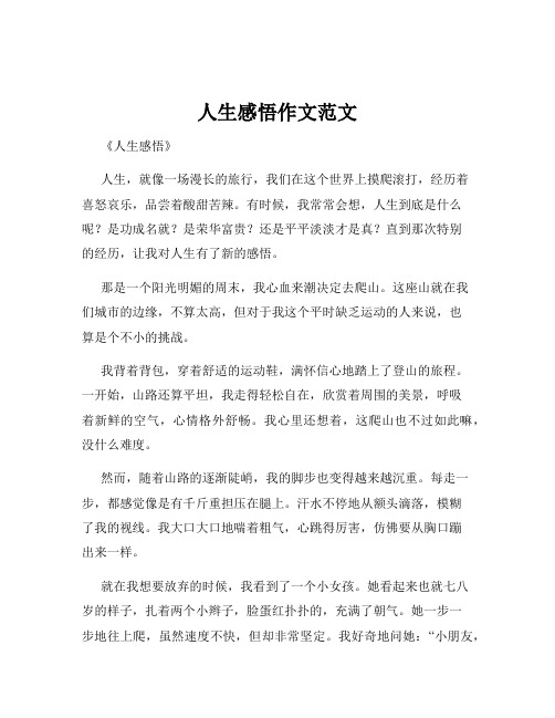 人生感悟作文范文