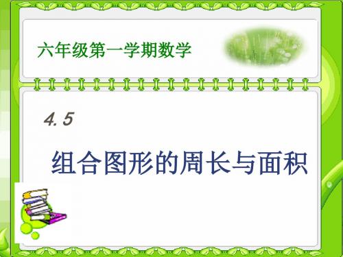 5、组合图形的周长与面积