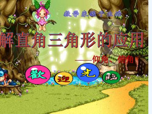 数学北师大版九年级下册解直角三角型