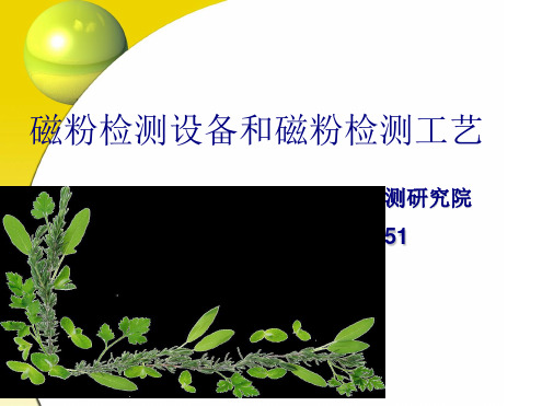 磁粉检测(检测设备与检测工艺)1