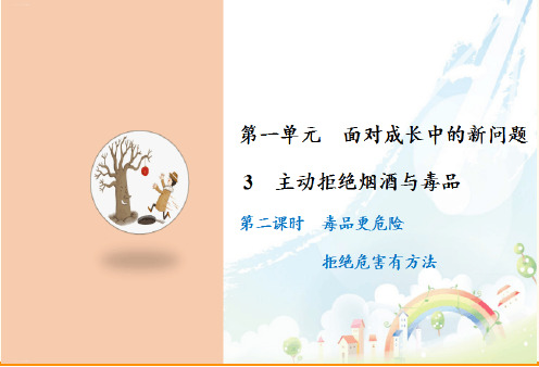 部编版主动拒绝烟酒与毒品PPT优质课件2
