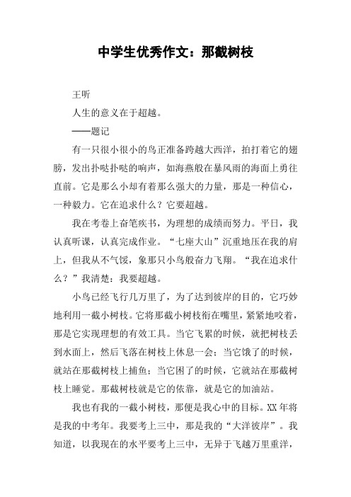 中学生优秀作文：那截树枝