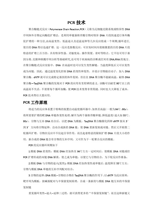 PCR技术
