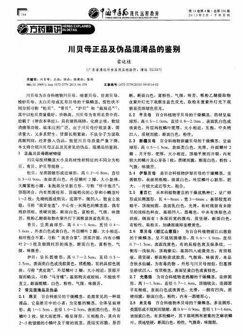 川贝母正品及伪品混淆品的鉴别