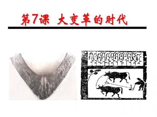 大变革的时代(共16张PPT)