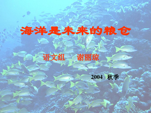 初二语文课件-海洋是未来的粮仓 最新