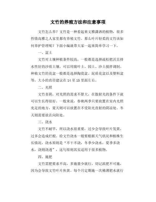 文竹的养殖方法和注意事项