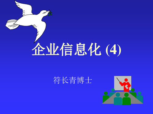 企业信息化课件4