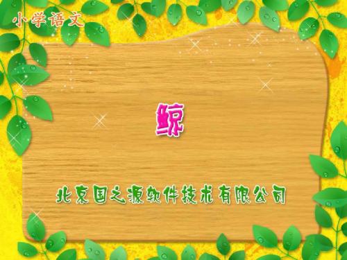 新课标人教版小学五年级语文上册：《鲸》PPT、优质教学课件