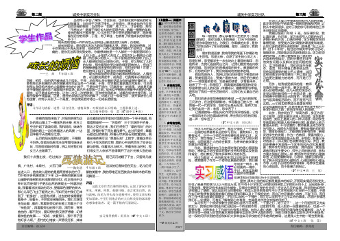 第一期简报(二、三版)